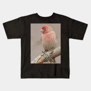 Beautiful House Finch in winter time Kids T-Shirt